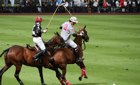 Mastering Polo A Deep Dive into the Equestrian Symphony