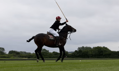 Unraveling the Majesty of Polo A Comprehensive Guide to the Sport of Kings