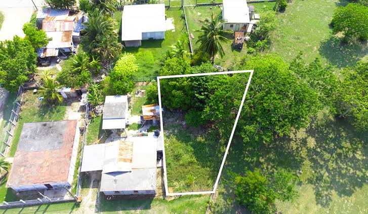 Exploring Prime Real Estate: Enchanting Plots for Purchase in Belize