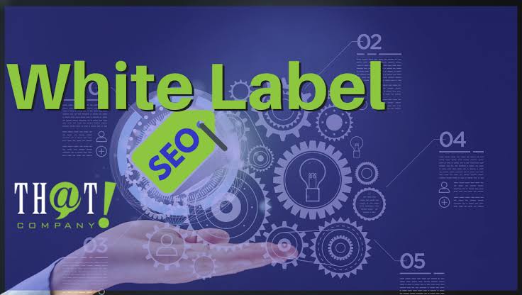 White Label SEO Agency India: Your Solution for High-Quality SEO Services