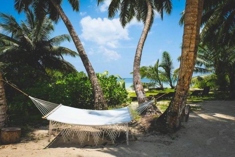 What Sets The White Jumbo Caribbean Hammock Apart From Other Colors